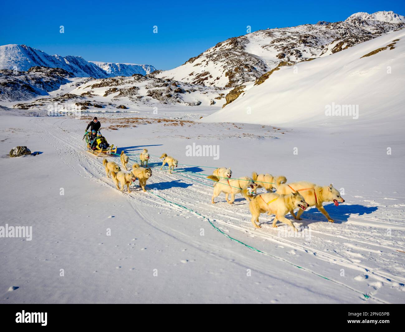 Inuit und zwei Touristen mit seinem Hundeschlittenteam Tasiilaq, Ammassalik Island, Kommuneqarfik Sermersooq, Ostgrönland, Grönland Stockfoto