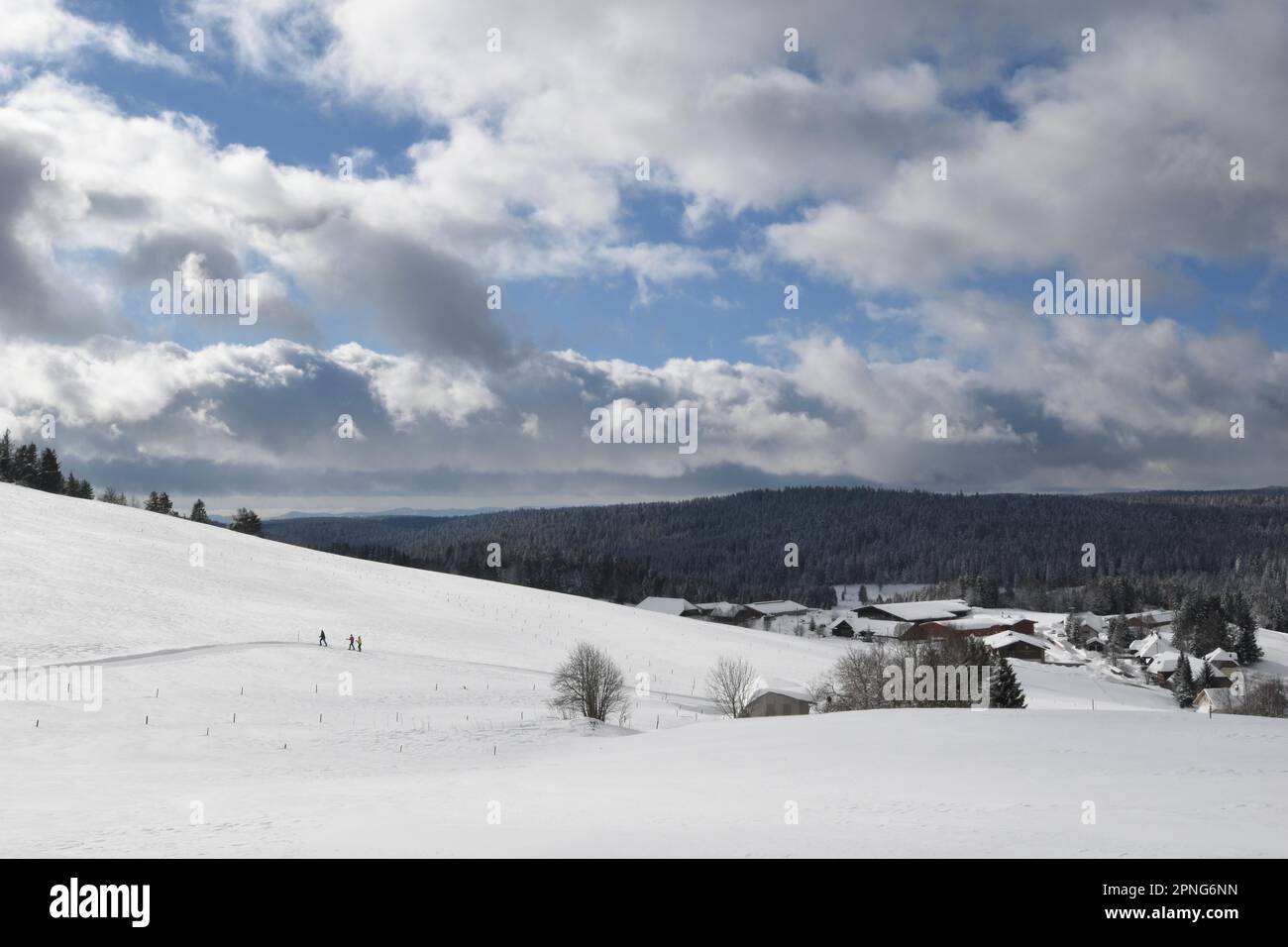 Winterlandschaft, Ibach, Hotzenwald, Deutschland Stockfoto