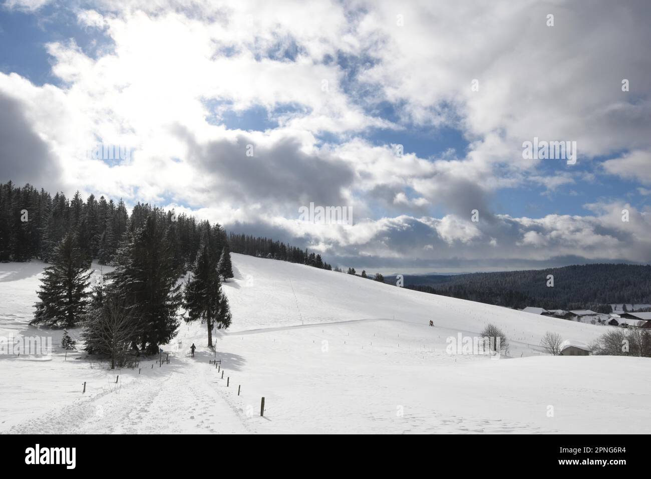 Winterlandschaft, Ibach, Hotzenwald, Deutschland Stockfoto