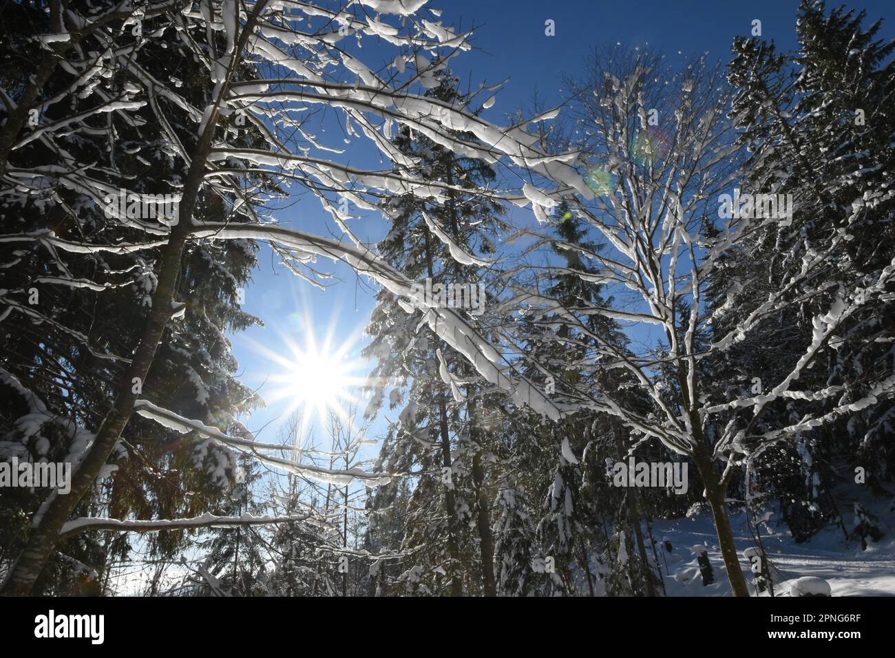 Winteridyll, hotzenwald, Deutschland Stockfoto
