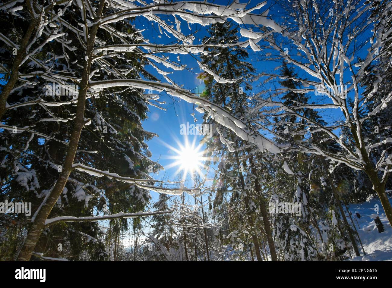 Winteridyll, Hotzenwald, Deutschland Stockfoto