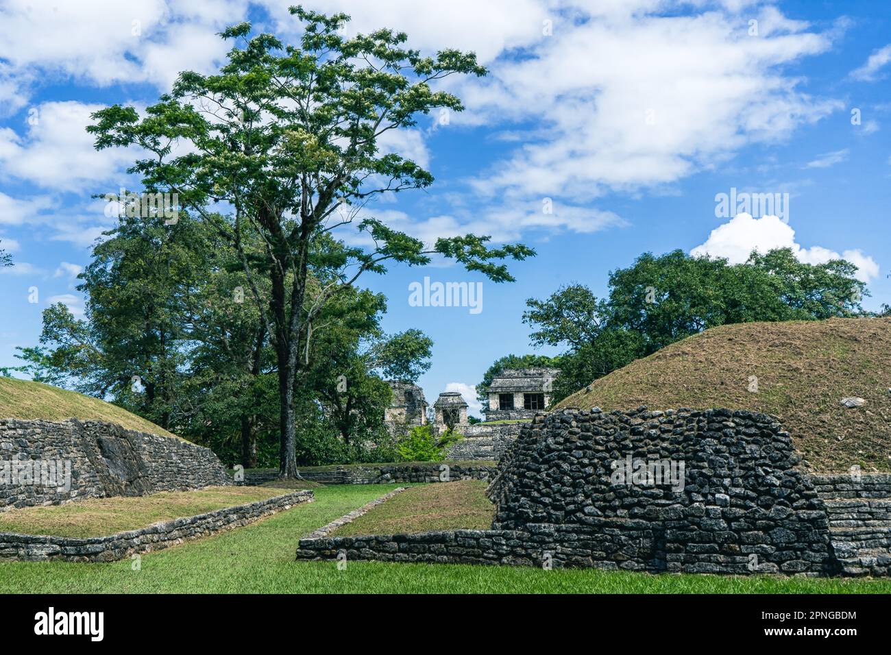 Palenque-Nationalpark Stockfoto