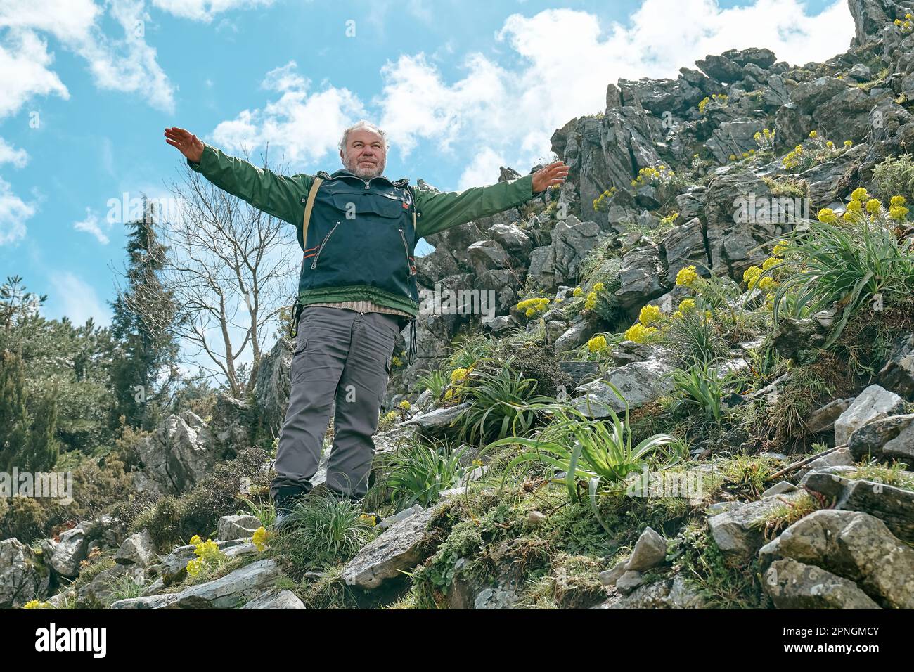 Ein Reisender, der im Bergwald wandert, auf einem großen Stein mit erhobenen Armen vor dem Panoramatal der Berge steht. Stockfoto