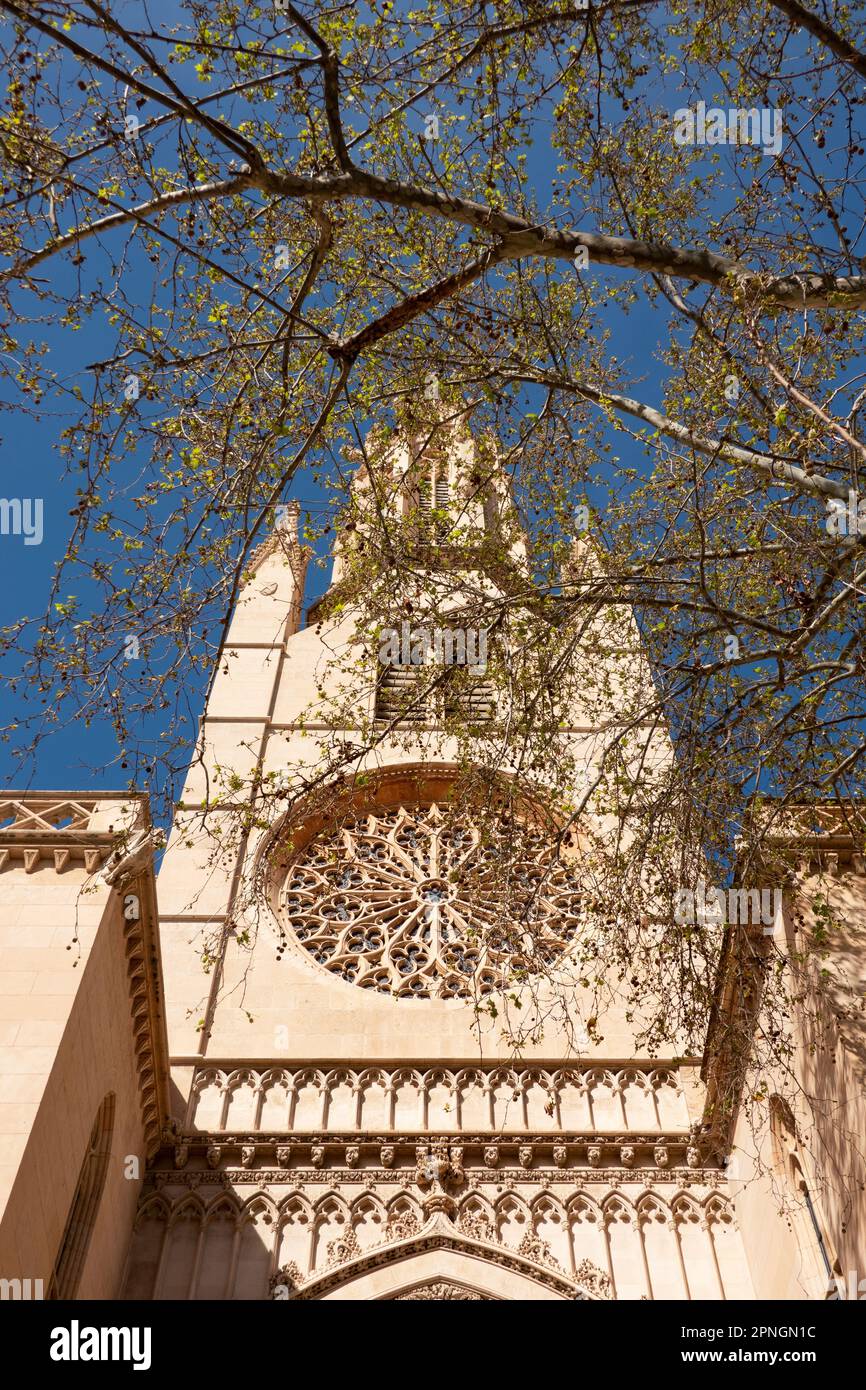 Kirche St. Eulalia (Iglesia de Santa Eulalia), eine der ältesten katholischen Kirchen in der Stadt Palma de Mallorca. Stockfoto