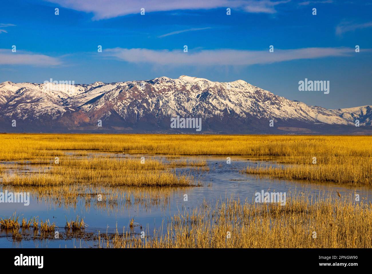 Der majestätische Willard Mountain im Frühling liegt östlich vom Bear River Migratory Bird Refuge in der Nähe von Brigham City, Box Elder County, Utah, USA. Stockfoto