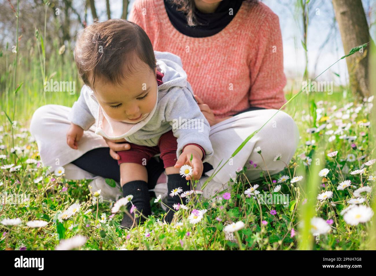 Mutter und kleine Tochter sammeln Blumen und Gänseblümchen auf Wiesen während der Blütenzeit an einem sonnigen Frühlingstag. Konzept der Mutterschaft und Spaß an tim Stockfoto