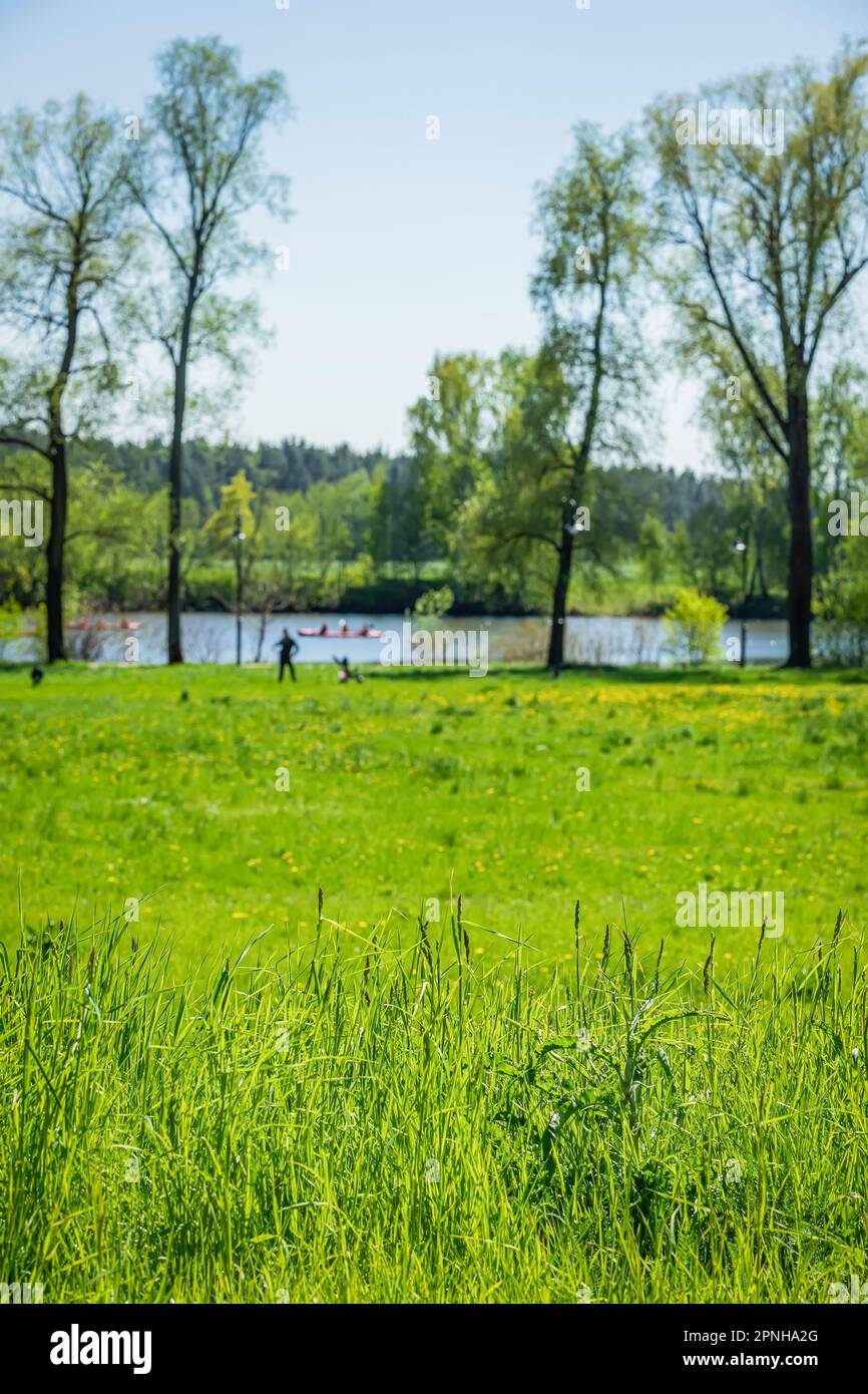 Grüne, blumige natürliche Wiese im Waldpark in der Nähe des Flusses mit Booten, Sommerfrühlingstag. Verschwommene Menschen. Selektiver Fokus Stockfoto