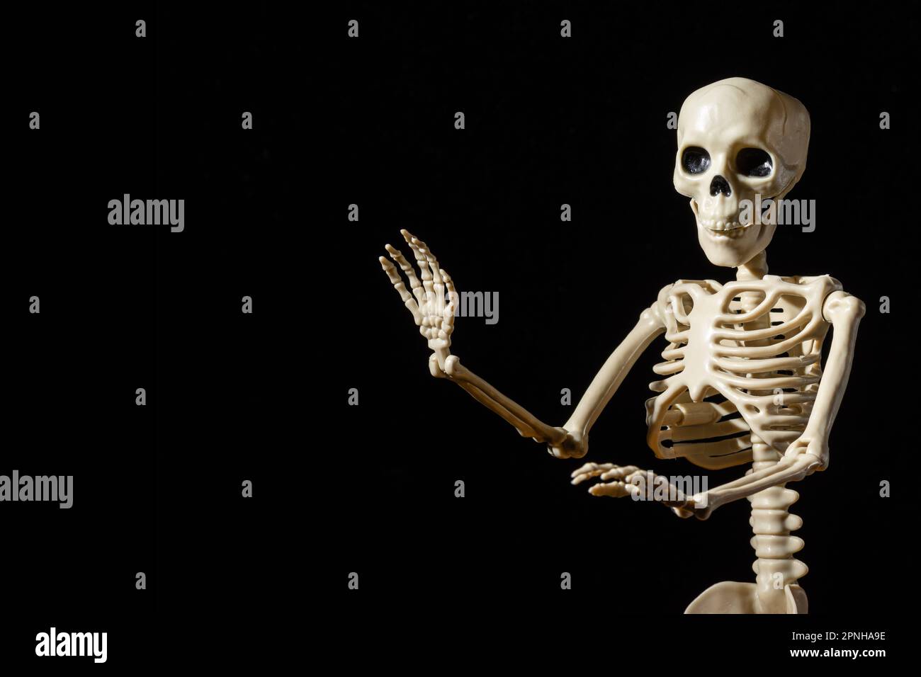 Menschliches Skelett, das mit der Begrüßungshand winkt, isoliert auf schwarzem Hintergrund. Ein Leben nach dem Tod. Hallo Halloween. Stockfoto