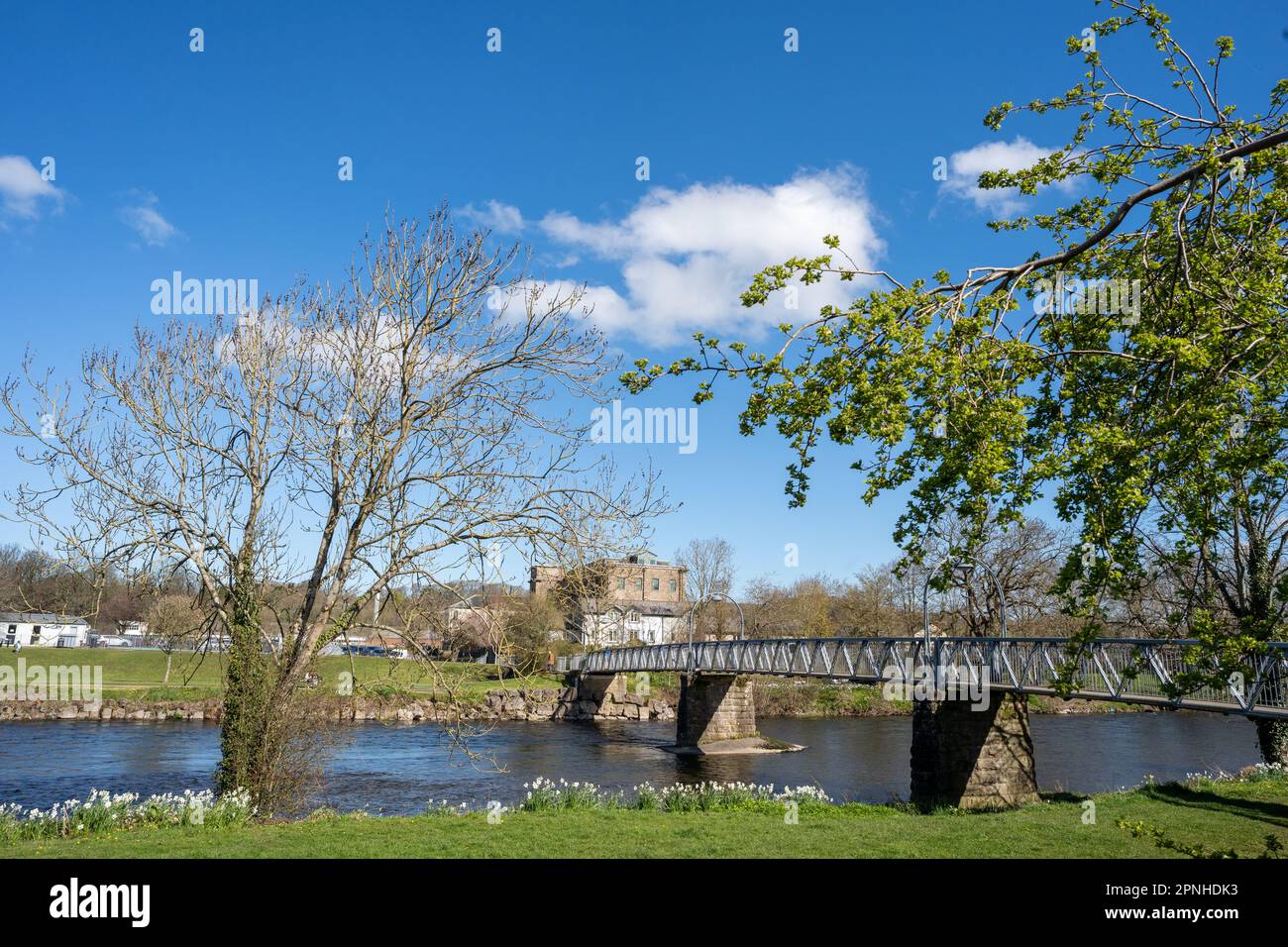 Fußgängerbrücke über den Fluss Cocker in Cockermouth, Cumberland, Großbritannien, im Frühling. Stockfoto