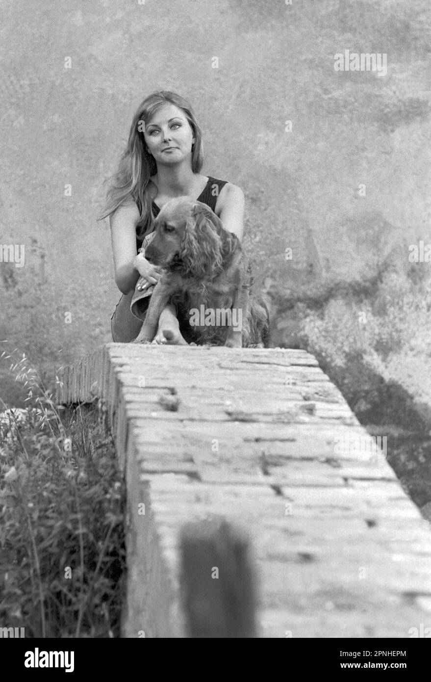 Pia Genberg, schwedisches Model und Schauspielerin, die zusammen mit ihrer Zwillingsschwester Mia in den 1960er Jahren in einer Reihe europäischer Filme auftrat. Vielen Dank an ihre Tante Hjördis und ihren Ehemann David Niven Stockfoto
