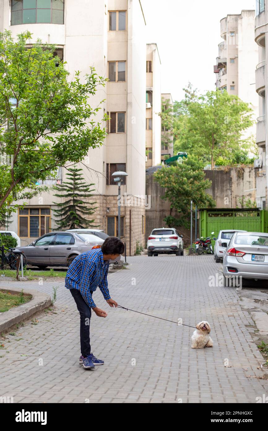 Shih Tzu Hund sitzt auf der Treppe der Stadt. Ein Hund in der Stadt. Hund in städtischer Landschaft Stockfoto