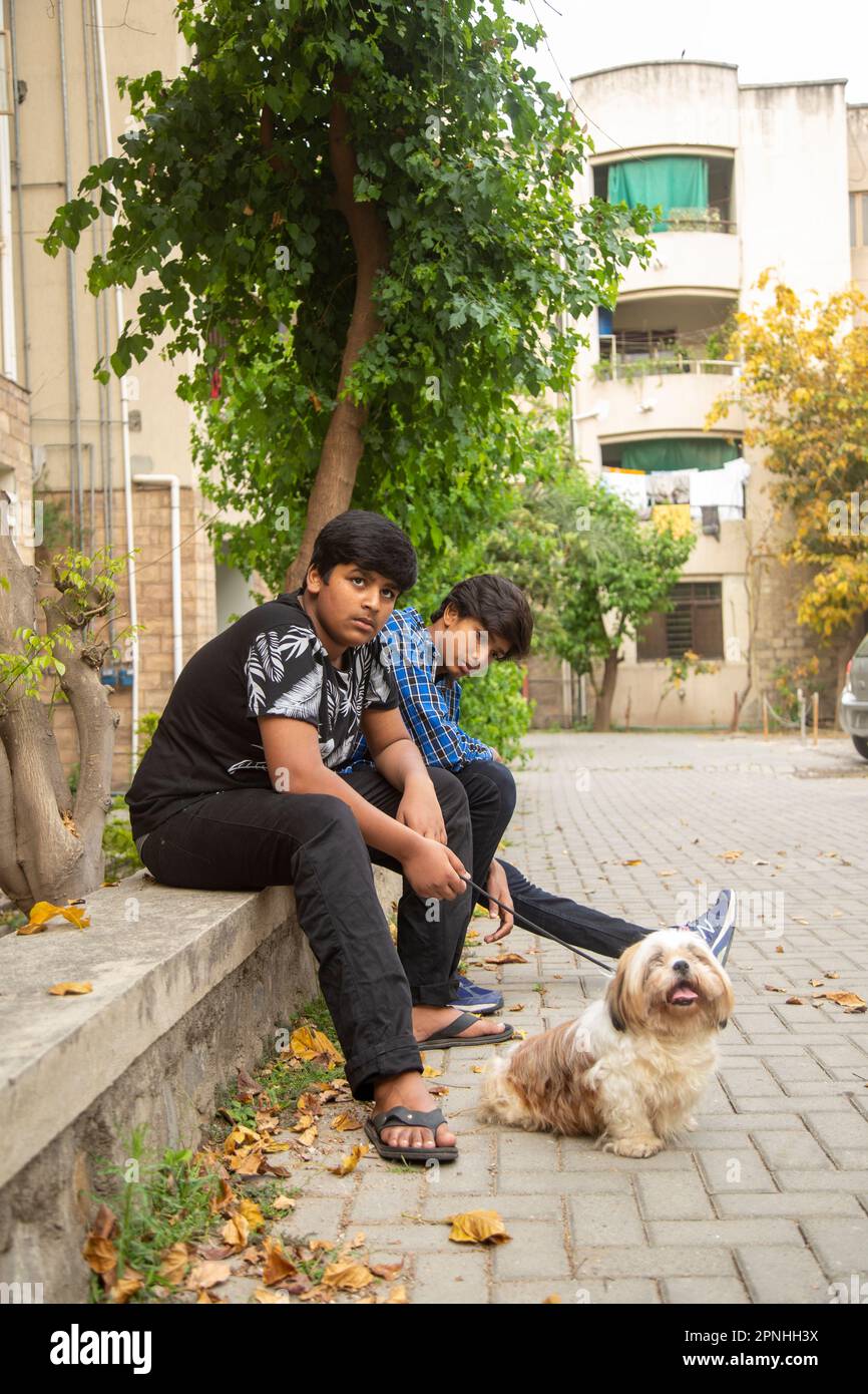 Shih Tzu Hund sitzt auf der Treppe der Stadt. Ein Hund in der Stadt. Hund in städtischer Landschaft Stockfoto