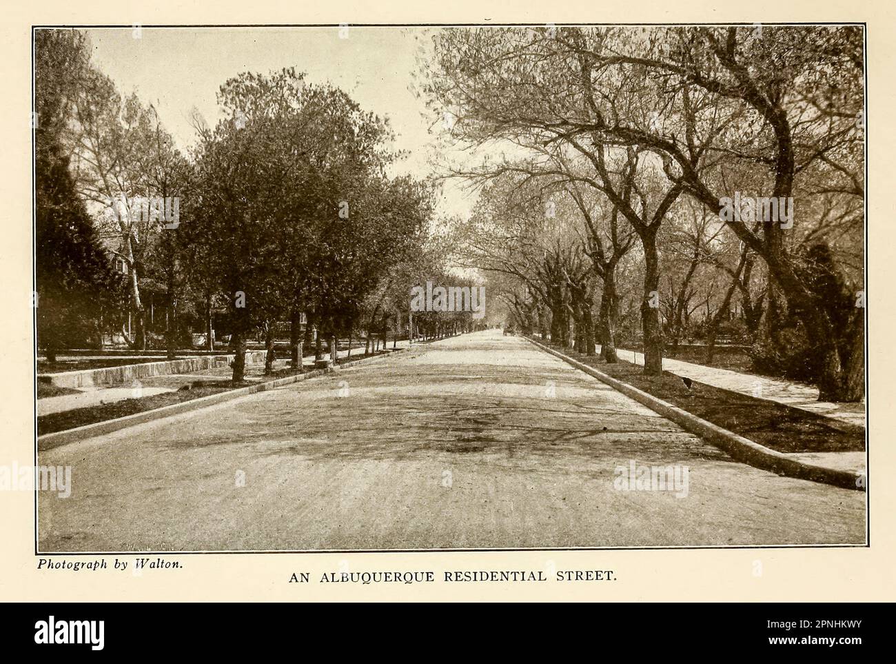 Eine Albuquerque Residence Street aus dem Buch „ New Mexico, the Land of the Delight Makers “ von George Wharton James, The History of its Ancient Cliff Dwellings and Pueblos, Conquest by the Spaniards, Franciscan Missions; Personal Accounts of the Ceremonies, Games, Social Life and Industries of its Inders; Eine Beschreibung des Klimas, der Geologie, der Flora und der Vögel, der Flüsse und Wälder; eine Bestandsaufnahme der Projekte zur raschen Entwicklung, zur Landgewinnung und zum Bildungssystem; vollständige und genaue Aufstellung der progressiven Grafschaften, Städte und Gemeinden. Veröffentlicht 1920 Boston, The Page Company Stockfoto