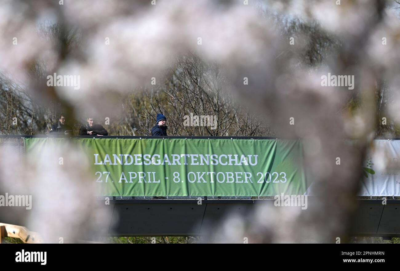 54+ Nachbargesetz Hessen Kirschbaum Pflanzen, Hecken ab 151 cm höhe