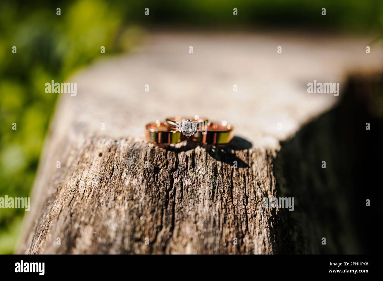 Zwei goldene Eheringe auf einem Stumpf Stockfoto