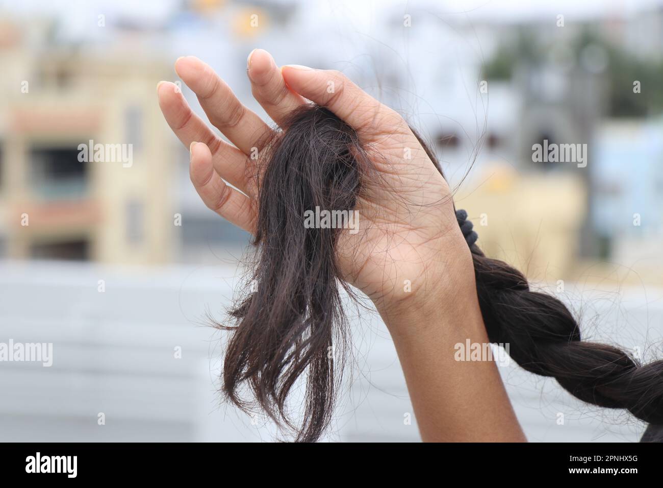 Geflochtenes weibliches Haar mit der Haarspitze in der Hand. Schönes, gesundes, natürliches weibliches Haar Stockfoto