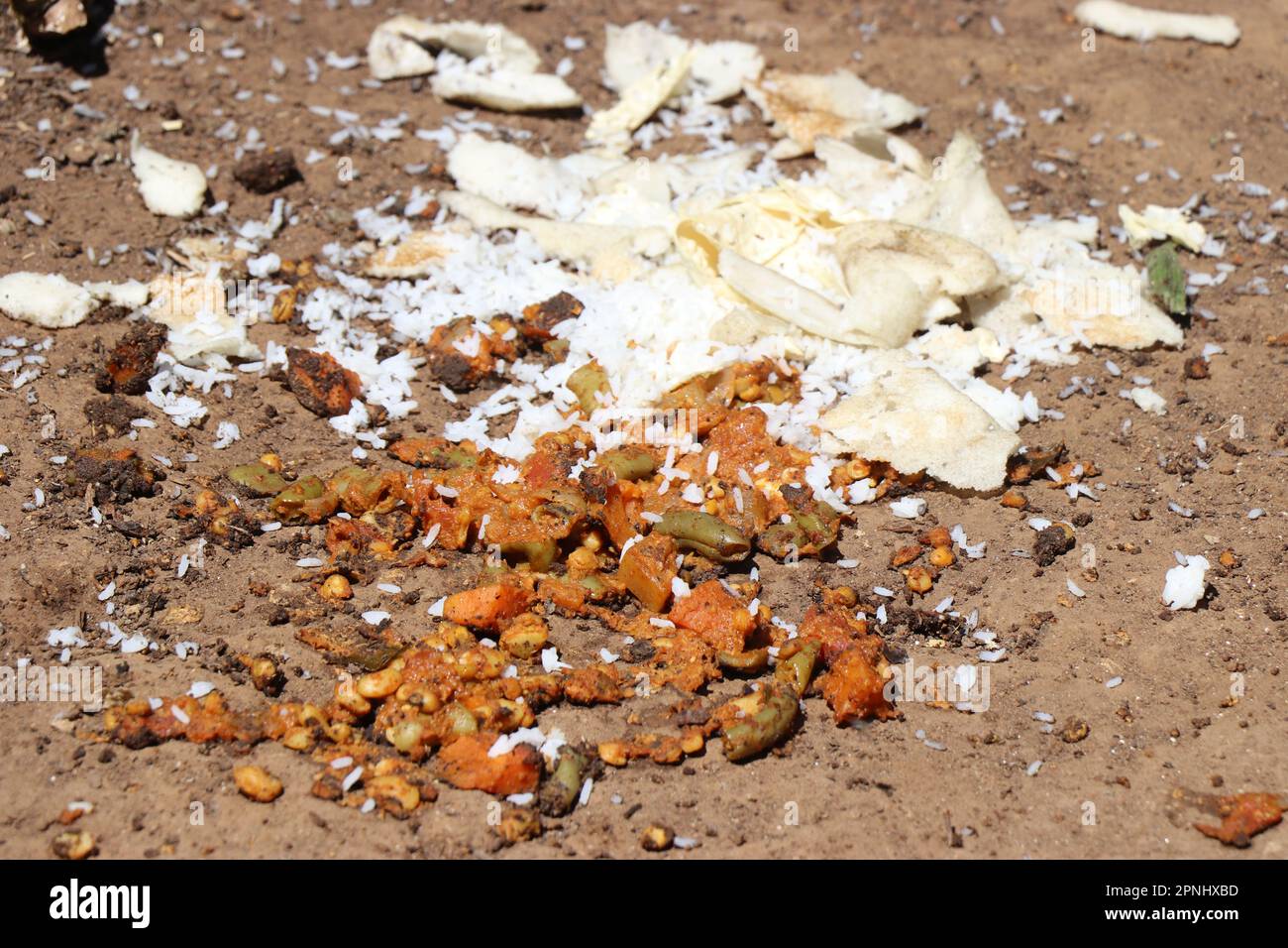 Vergeudete Lebensmittel auf dem Boden, die aus Roti und pflanzlichem Curry bestehen, zeigen das Konzept, dass man Lebensmittel nicht verschwenden darf Stockfoto