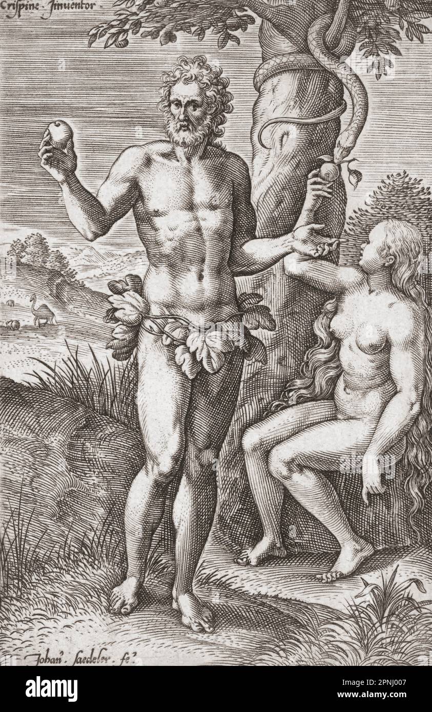 Adam und Eva im Garten Eden. Sie haben die verbotene Frucht gepflückt, während die Schlange zusieht. Nach einer Gravur aus dem 16. Jahrhundert von Johann Sadeler aus einem Design von Chrispijn van den Broeck. Stockfoto