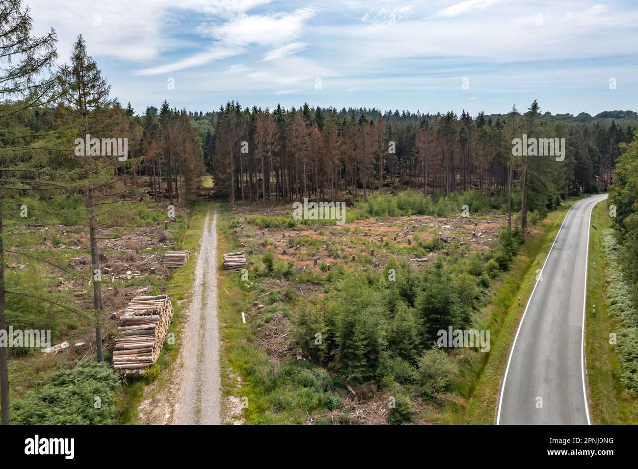 Draufsicht auf einen Waldweg neben einer gepflasterten Straße Stockfoto