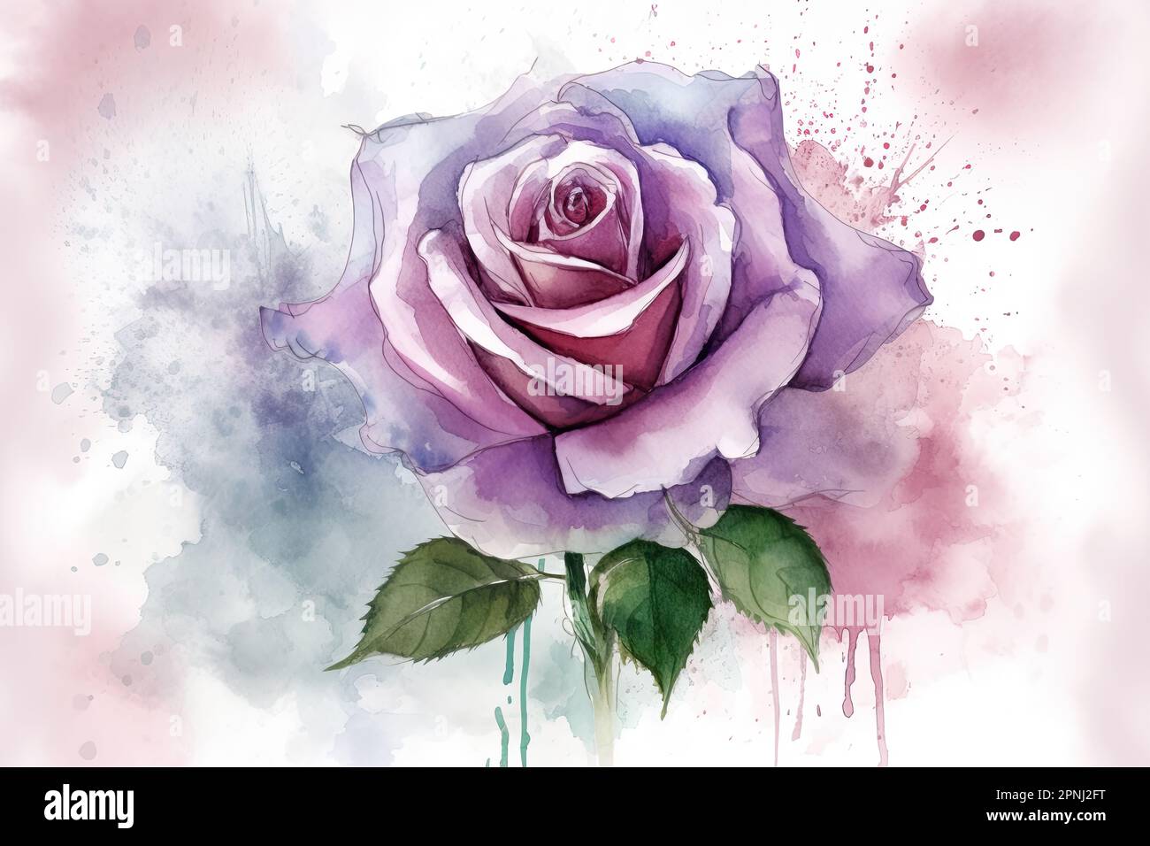 Malen Sie ein wunderschönes Bild einer einzelnen violetten Rose in Aquarellfarben mit zarten Pinselstrichen Stockfoto