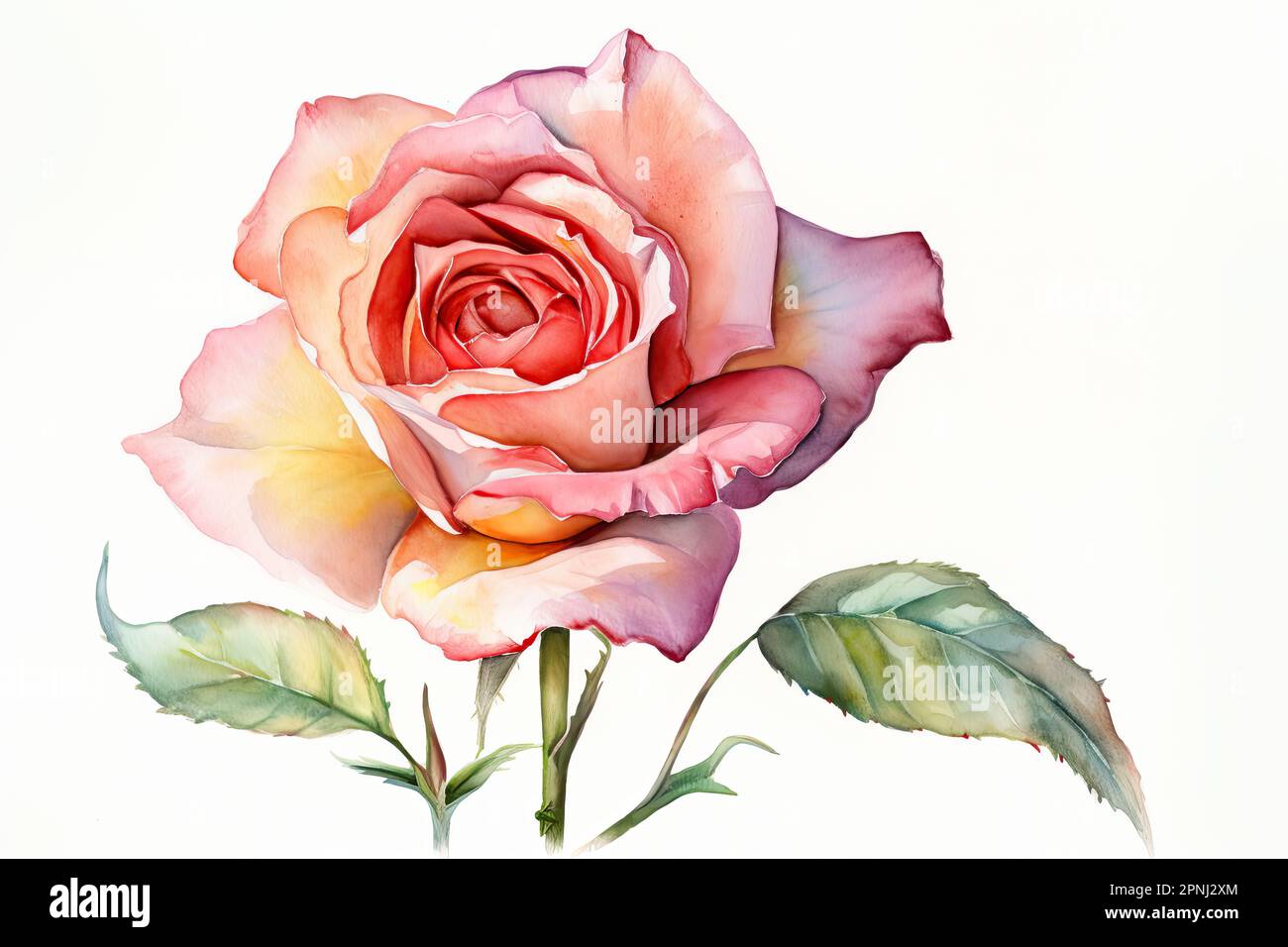 Malen Sie mit präzisen Pinselstrichen ein Aquarellbild einer einzelnen Rose mit einem realistischen und detaillierten Stil Stockfoto