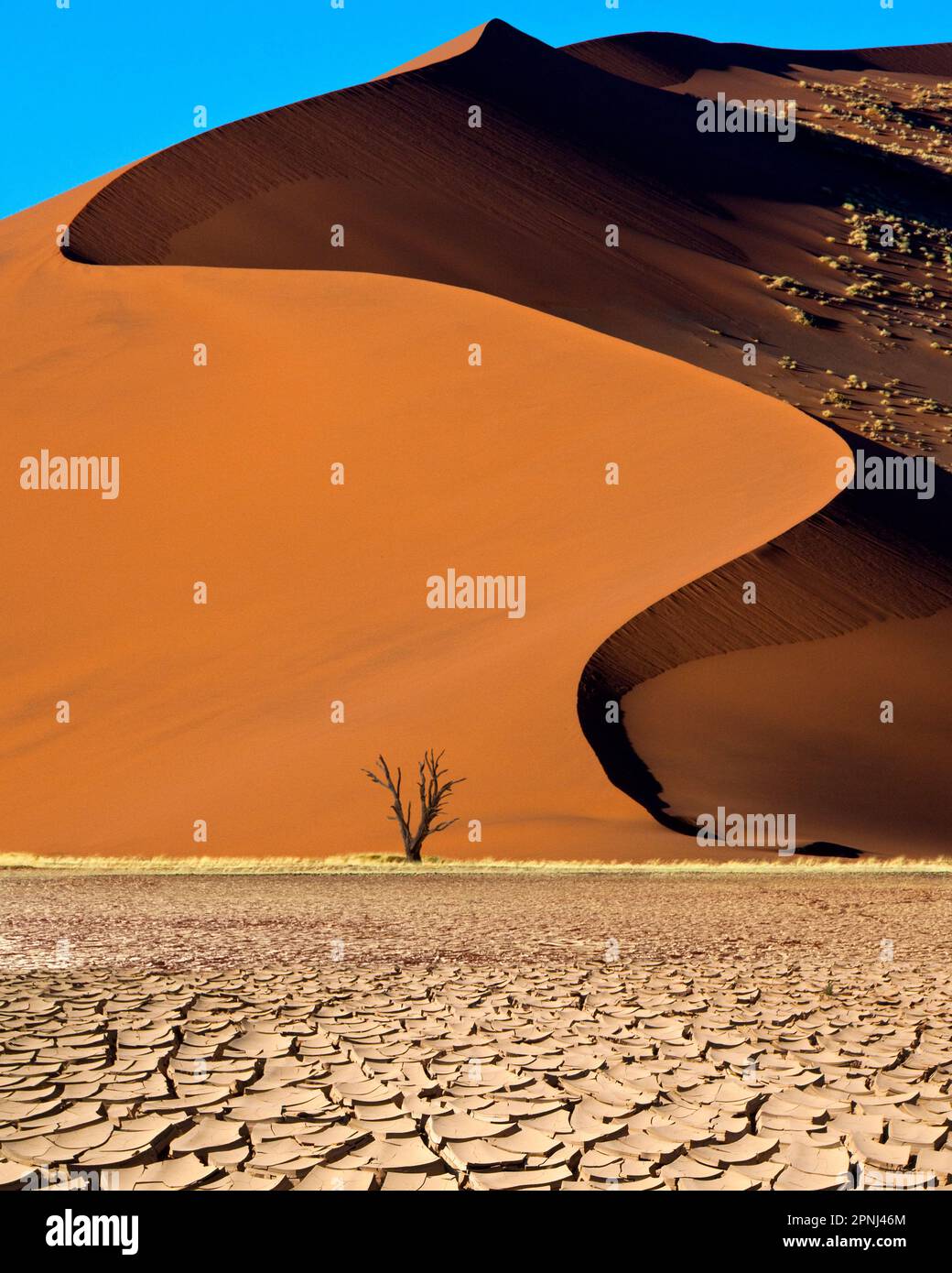 Sanddünen in der Namib-Wüste in der Nähe von Sossusvlei in Namibia, Afrika. Stockfoto