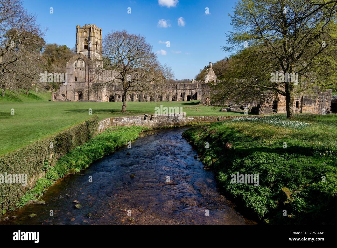 Die Ruinen der Fountains Abbey in der Nähe von Ripon in North Yorkshire im Nordosten Englands. Das 1132 gegründete Kloster wurde 407 Jahre lang betrieben Stockfoto