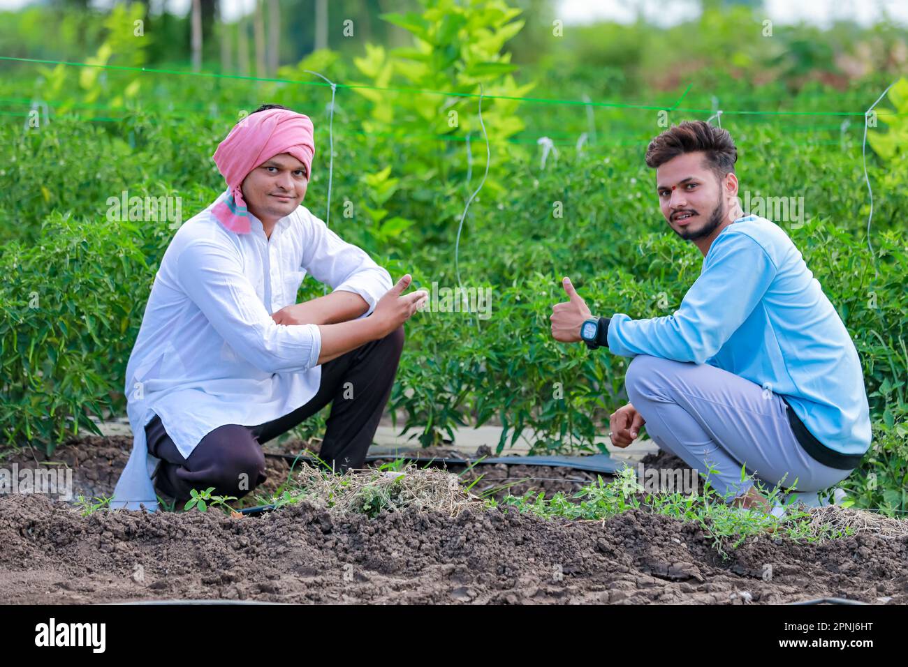 Indischer Happy Farmer mit grüner Chilipflanze, grüner Chilizucht, junger Farmer Stockfoto