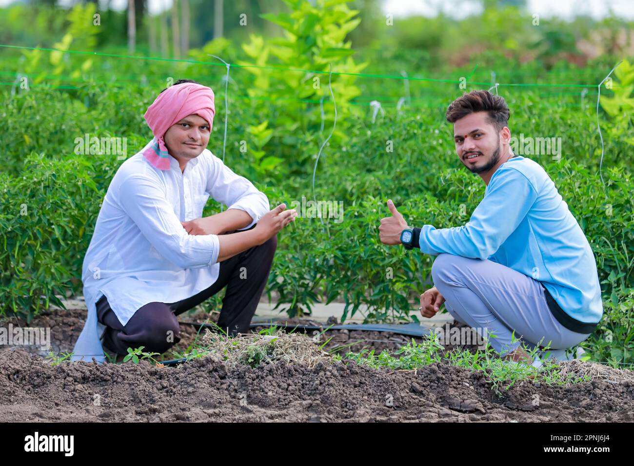 Indischer Happy Farmer mit grüner Chilipflanze, grüner Chilizucht, junger Farmer Stockfoto