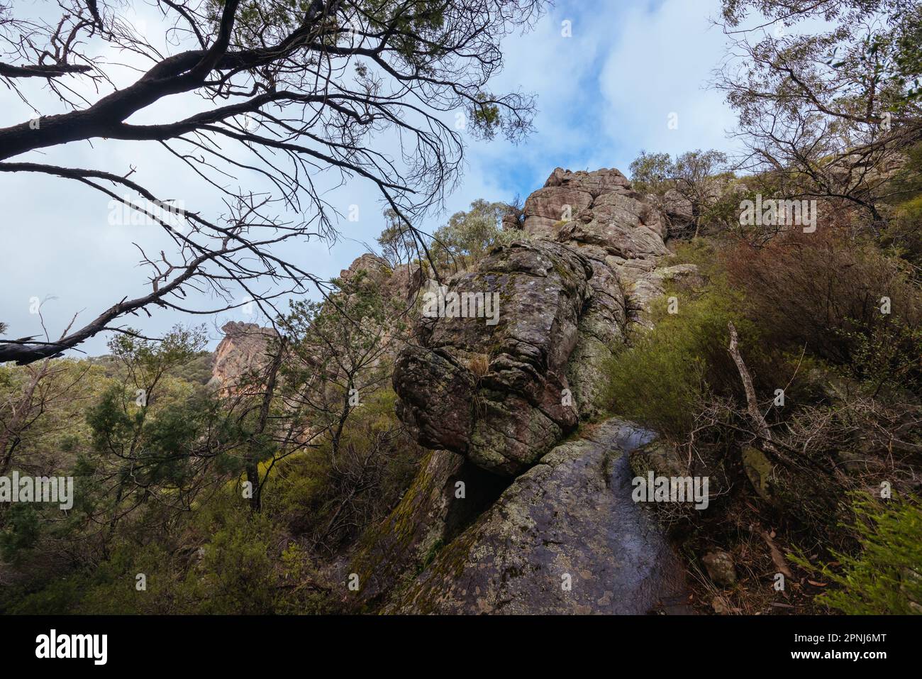 Chatauqua Peak Trail Grampians Australien Stockfoto