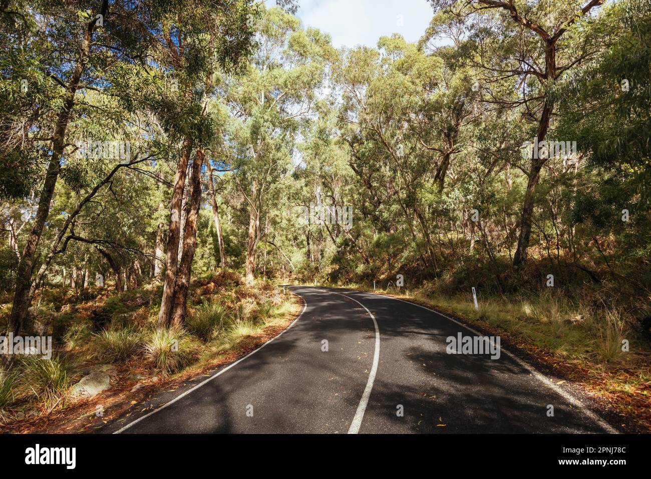 Chatauqua Peak Trail Grampians Australien Stockfoto