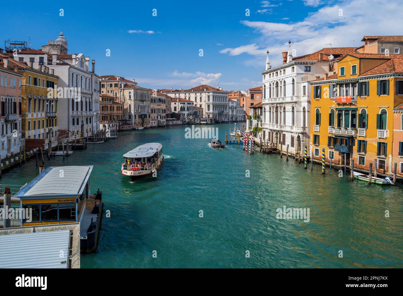 Canal Grande, Venedig, Veneto, Italien Stockfoto