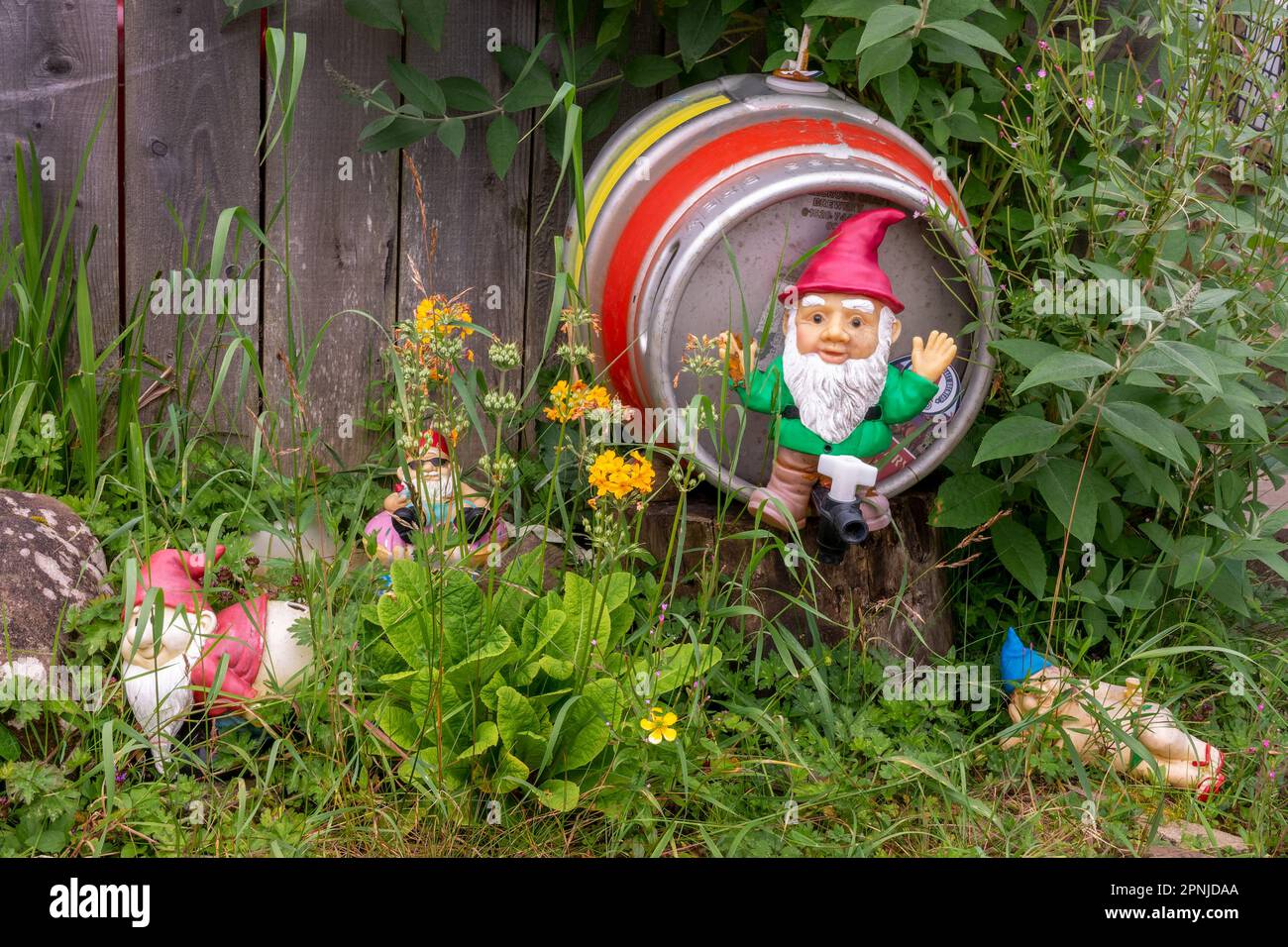 Lustiger Gartenzwerg, der auf einem Fass Bier sitzt Stockfoto