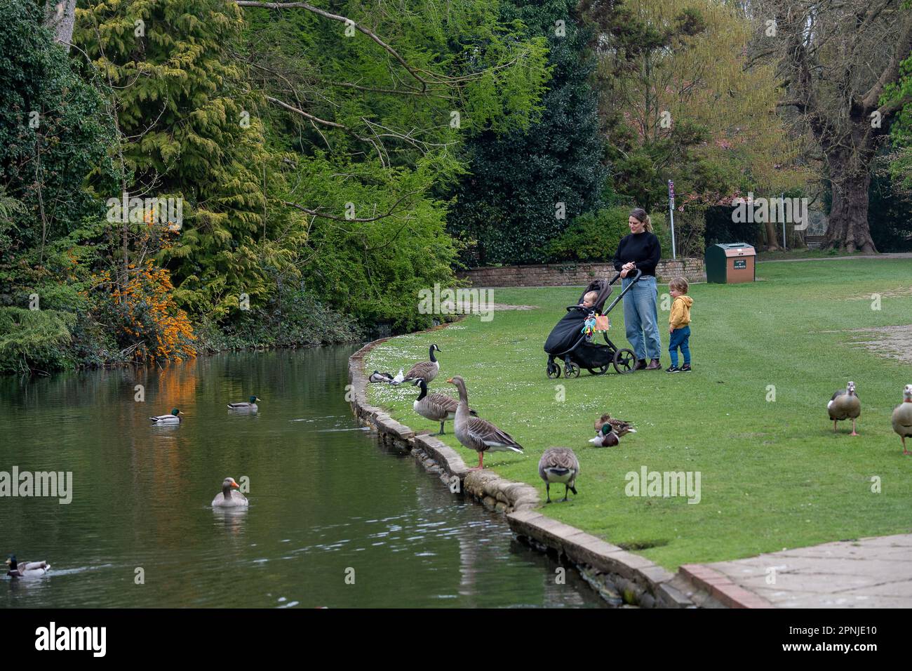Maidenhead, Berkshire, Großbritannien. 19. April 2023. Eine Familie, die an einem kalten Tag die Enten auf Ray Mill Island in Maidenhead beobachtet. Kredit: Maureen McLean/Alamy Live News Stockfoto