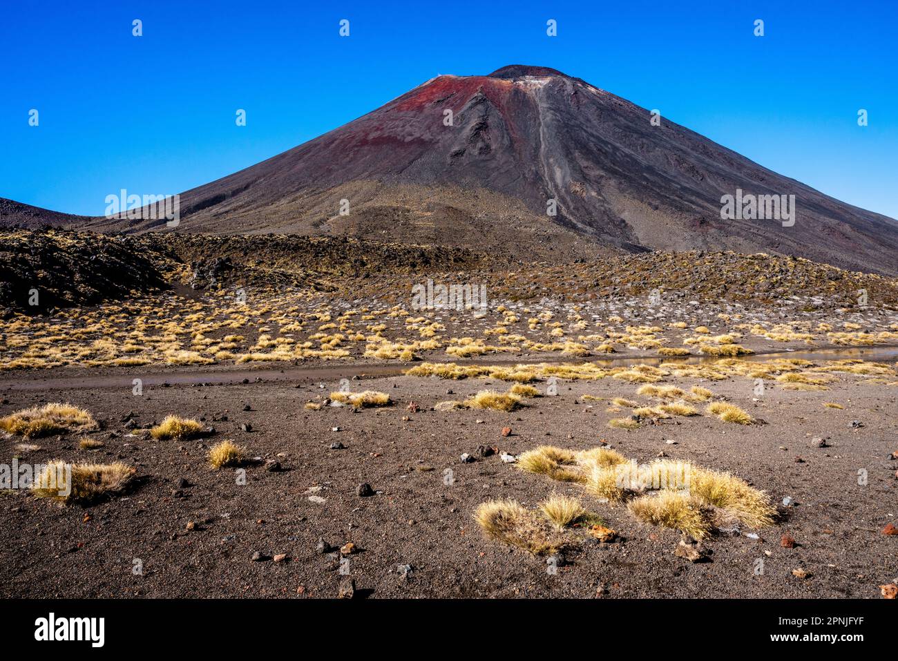 Blick auf den Mt. Ngauruhoe auf dem Tongariro Alpine Crossing Walk, Tongariro National Park, Nordinsel, Neuseeland. Stockfoto