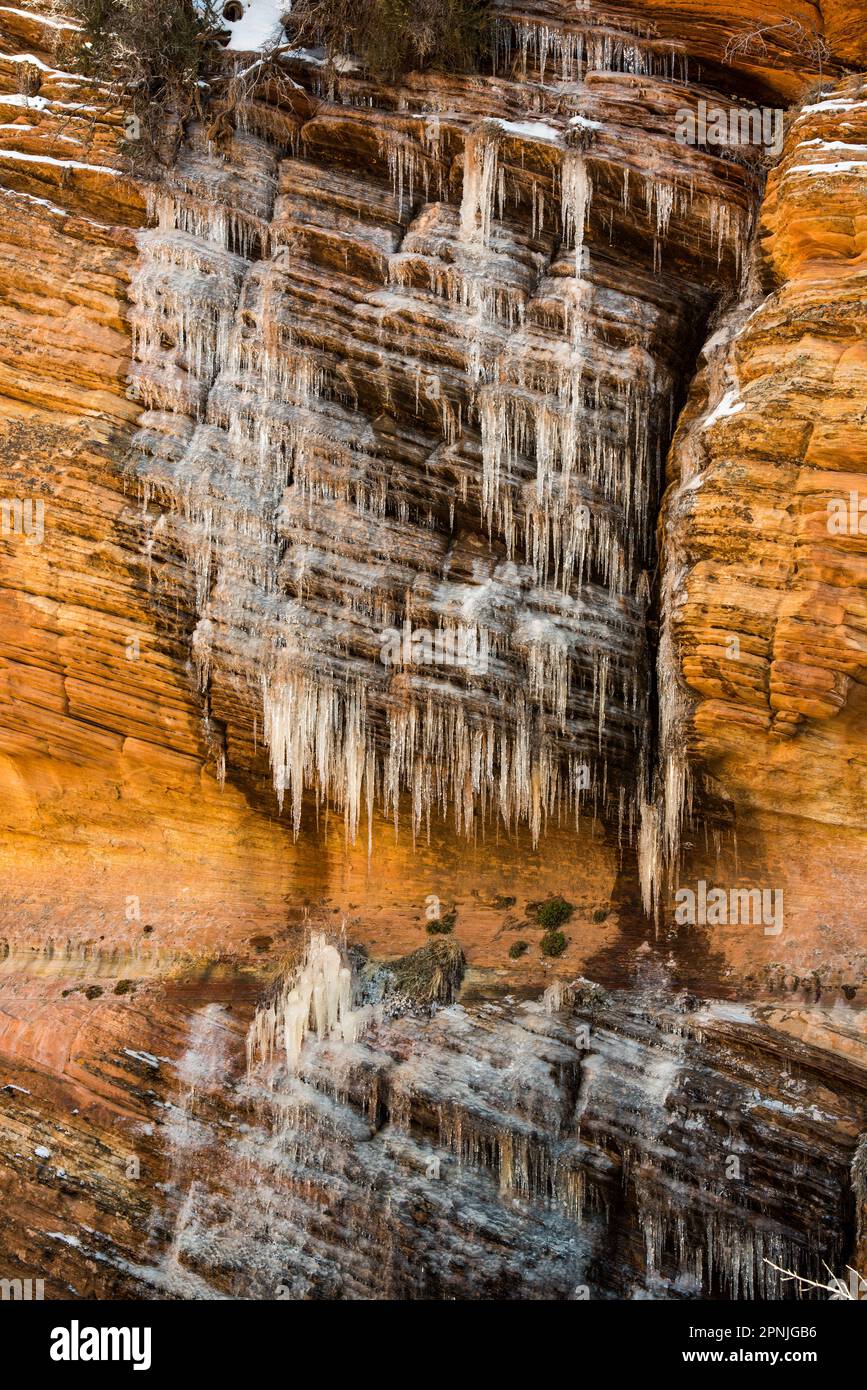 Eiszapfen auf roten Felsen, Zions National, Utah, USA. Highway 9 Stockfoto
