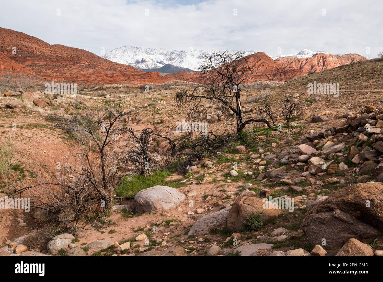 Ruinen der alten Geisterstadt Harrisburg im Süden von Utah, USA. Schneebedeckte Pine Valley Mtns im Hintergrund. Stockfoto