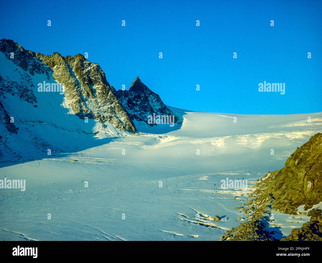 Mit Blick über den orientalischen Gletscher in Richtung des Col Du Tour Superior Passes an der französischen Schweizer Grenze, von der Chamonix-Zermatt-Haute-Route aus gesehen, bestaunen Sie die Gruppe der Kletterer, die den Gletscher hinaufsteigt Stockfoto