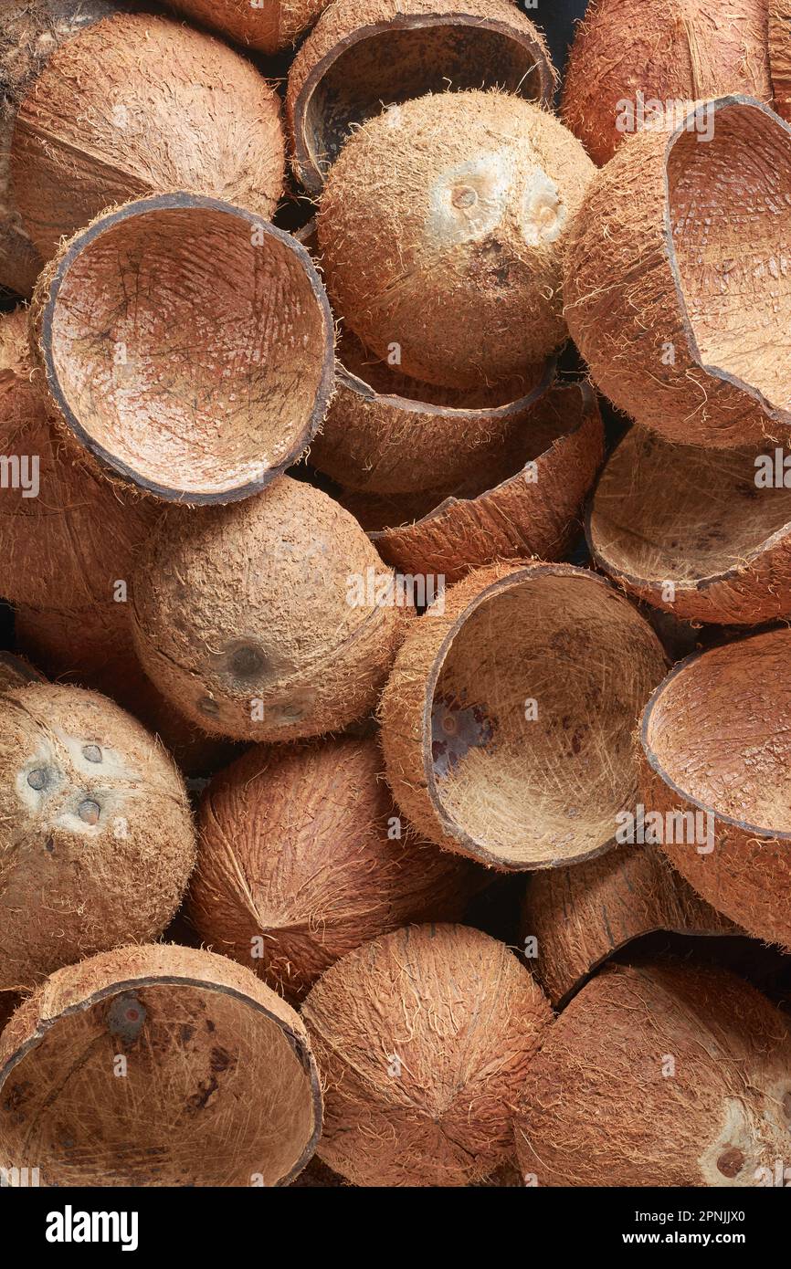 Kokosnussmuschel, eine äußere Kokosnussschicht aus robustem und langlebigem Fasermaterial, die als Brennstoff verwendet wird, schafft Kunsthandwerk Stockfoto