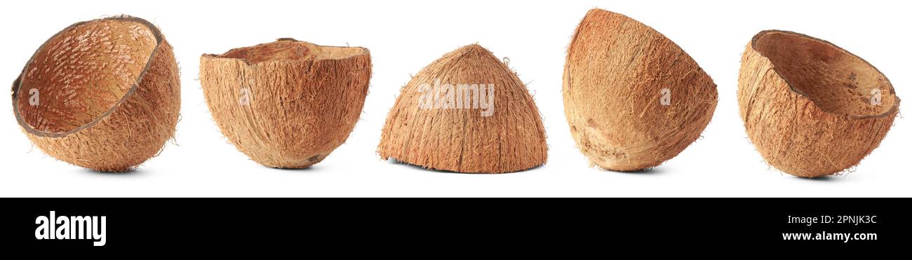 Ein Satz Kokosnussschalen, isoliert auf weißem Hintergrund, kommerziell wichtiges starkes und haltbares Fasermaterial, das als Brennstoff verwendet wird Stockfoto