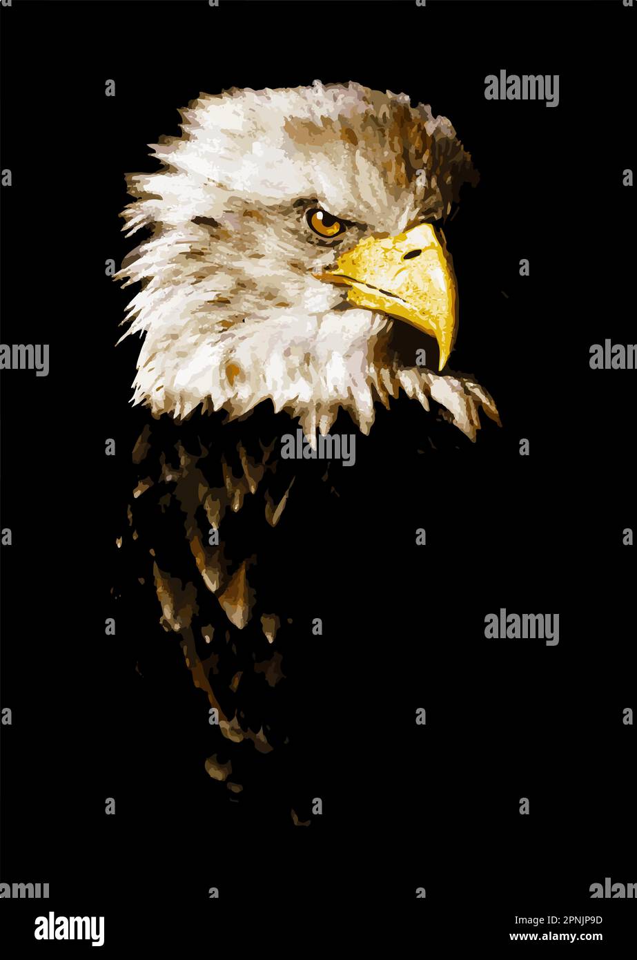 In einem Vektorbild ist ein Weißkopfseeadler zu sehen. Stock Vektor