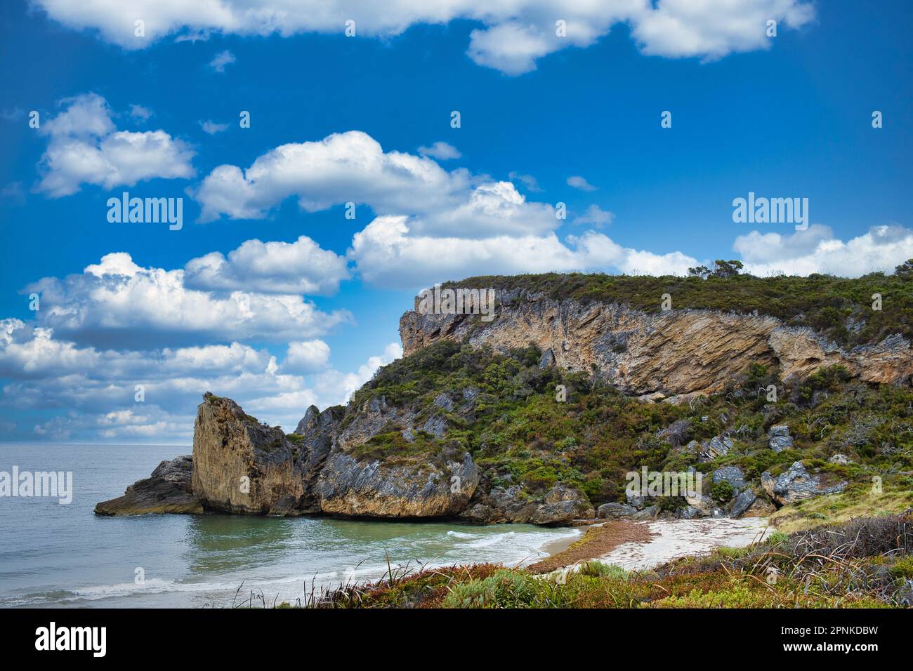 Cathedral Rock, eine kollabierte, überwucherte Kalksteinklippe entlang des Coastal Survivors Walk im D'Entrecasteaux National Park, Westaustralien Stockfoto