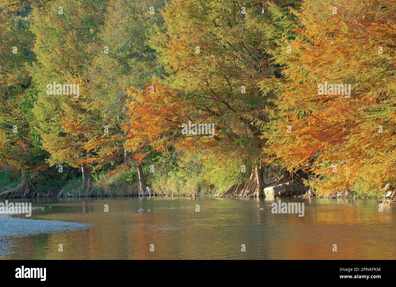 Fluss Stockfoto
