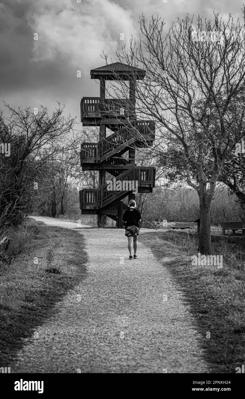 Blick auf den Turm Stockfoto