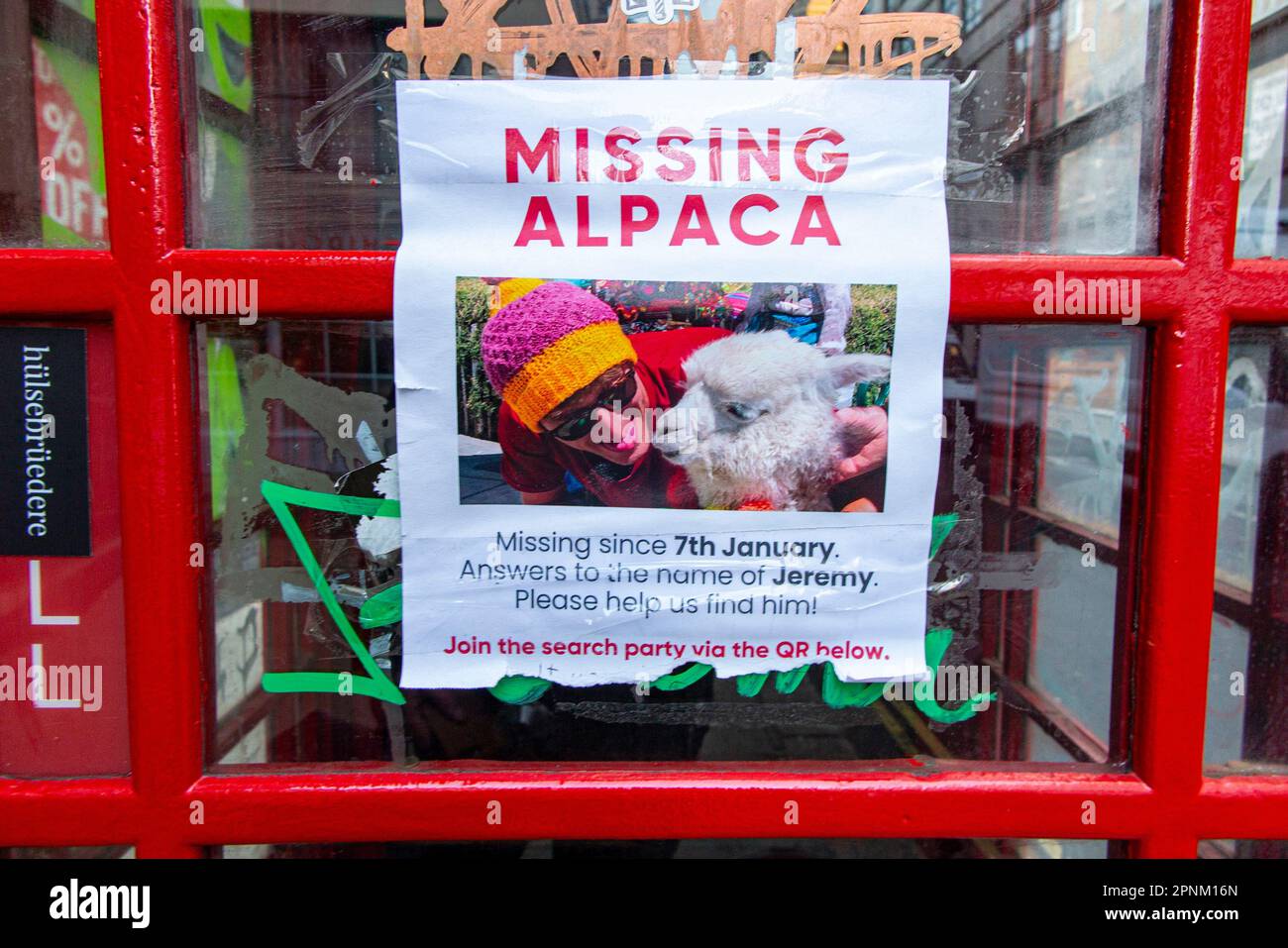 Ein Schild, das um Hilfe bei der Suche nach Jeremy bittet, einem vermissten Alpaka Stockfoto