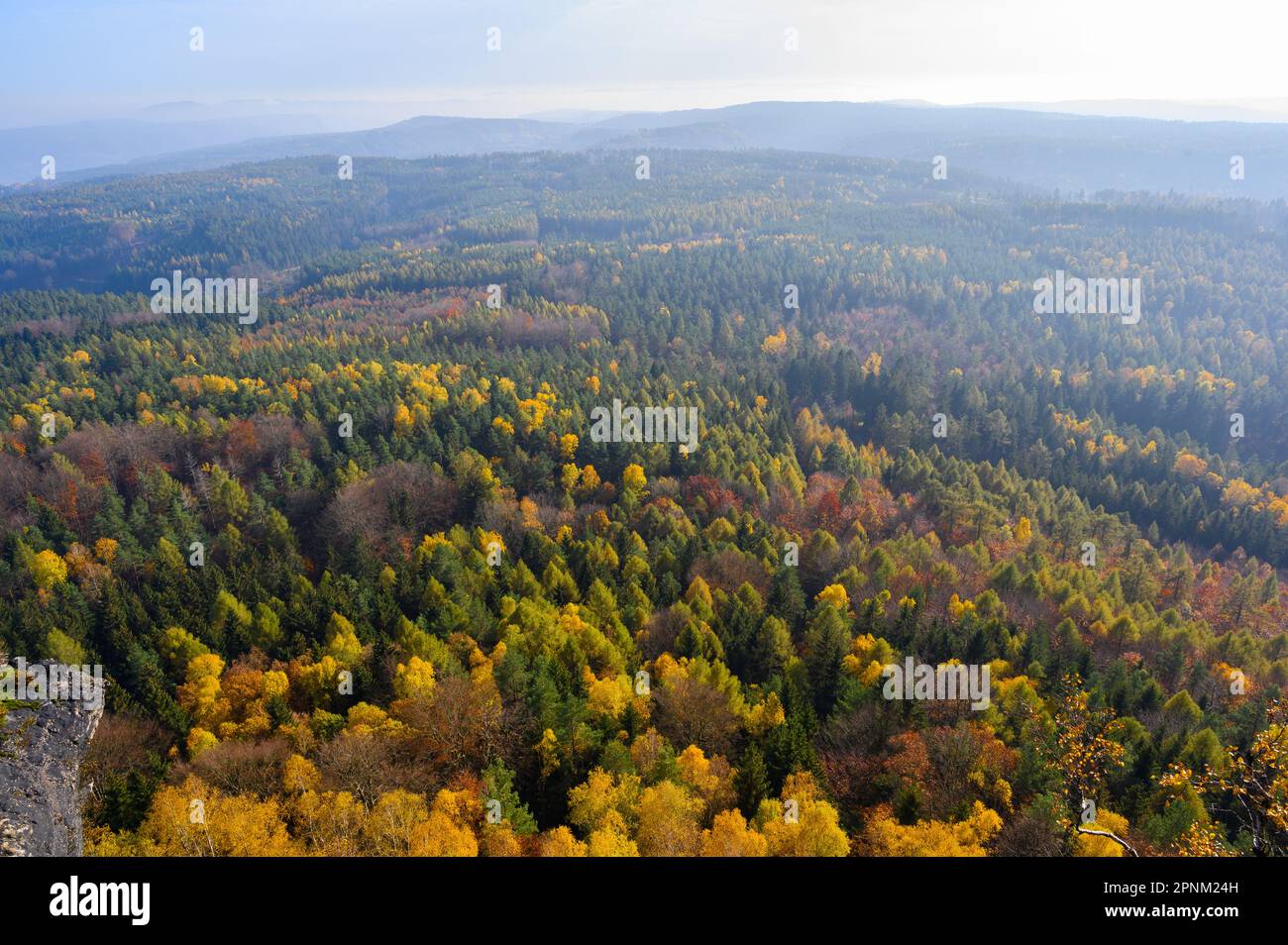 Blick auf den farbenfrohen Wald: Ein majestätischer Bergblick Stockfoto