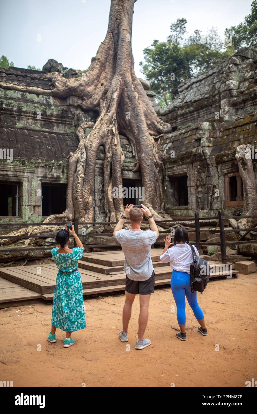 Kleine Gruppe von Touristen, die Fotos vom berühmten Baum in Ta Prohm, Siem Reap, Kambodscha machen. Stockfoto