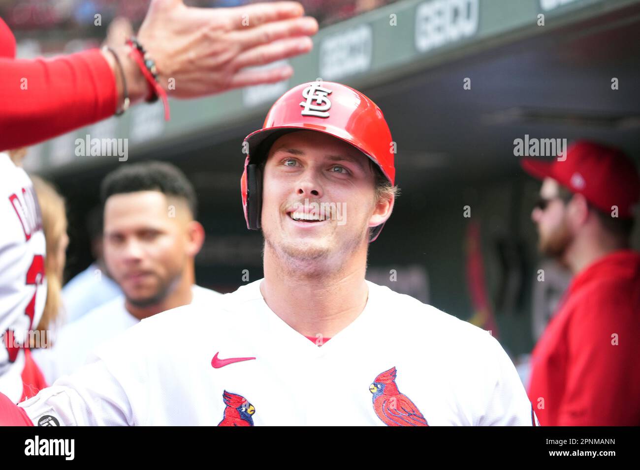 St. Louis, Usa. 19. April 2023. St. Louis Cardinals Nolan Gorman wird im Dugout gratuliert, nachdem er im sechsten Inning einen Grand Slam Home Run gegen die Arizona Diamondbacks im Busch Stadium in St. geschafft hat Louis am Mittwoch, den 19. April 2023. Foto: Bill Greenblatt/UPI Credit: UPI/Alamy Live News Stockfoto