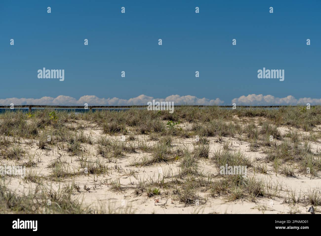 Grasbedeckte Sanddünen treffen den Himmel am Kirra Beach, Queensland, Australien Stockfoto