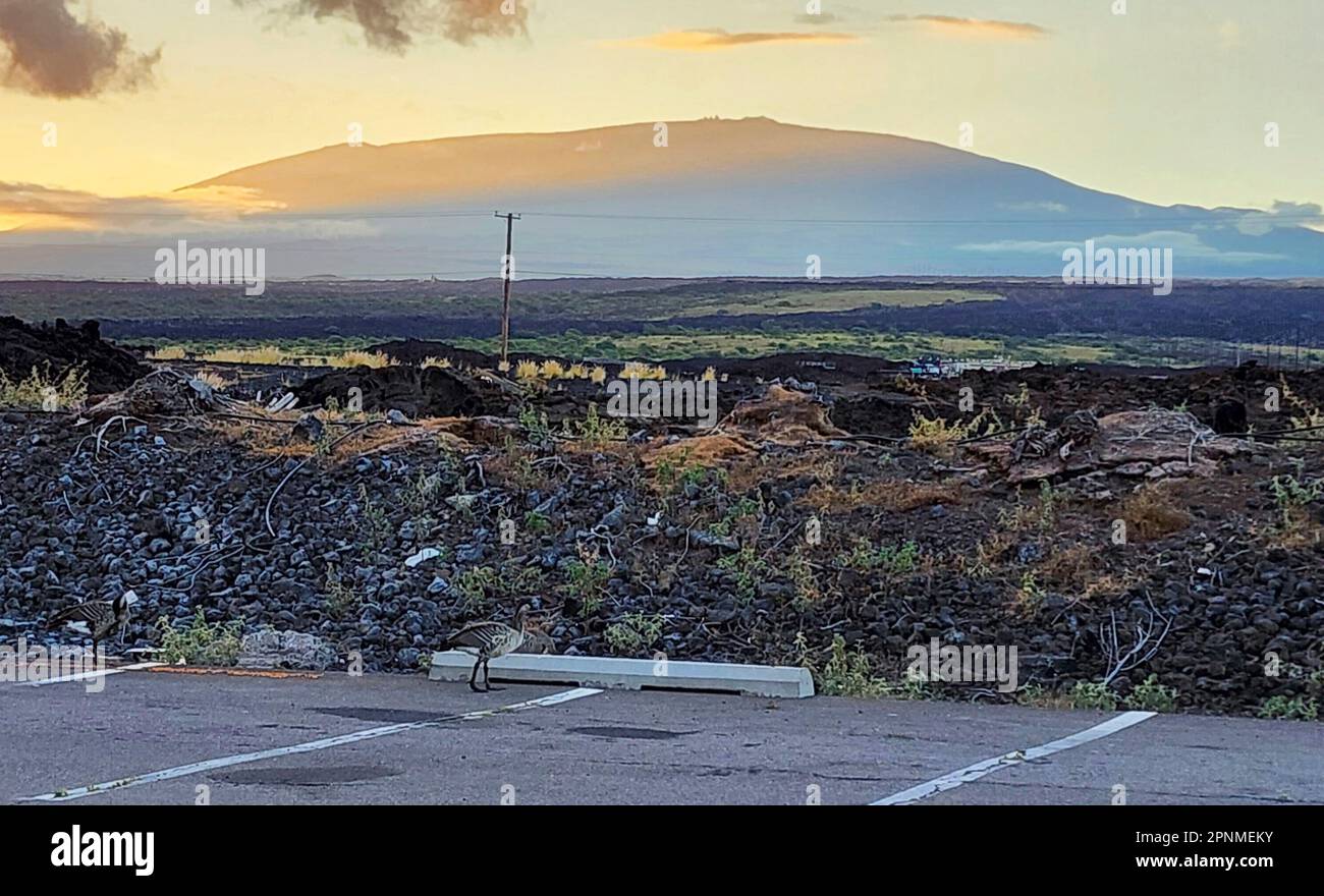 this-photo-provided-by-the-hawaii-department-of-land-and-natural